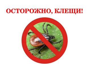 ПРОФИЛАКТИКА ЗАБОЛЕВАНИЯ КЛЕЩЕВЫМ ВИРУСНЫМ ЭНЦЕФАЛИТОМ